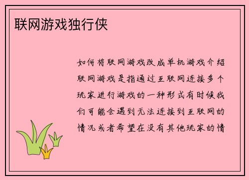 联网游戏独行侠